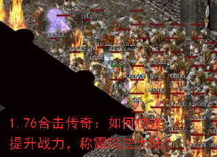 1.76�ϻ����棺��ο�������ս�����ư��귨��½��