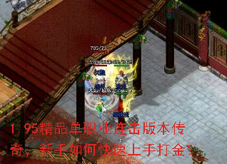 1.95��Ʒ��ְҵ�����汾���棬������ο������ִ��