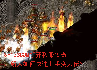 SF123COM�¿�˽�����棬������ο������ֱ���У�