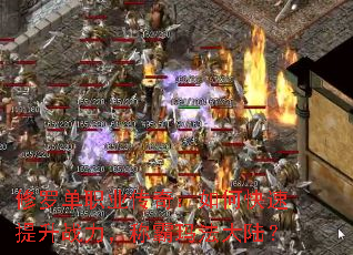 ���޵�ְҵ���棺��ο�������ս�����ư��귨��½��