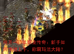 �տ�һ�뵥ְҵ���棺������ο������֣��ư��귨��½��