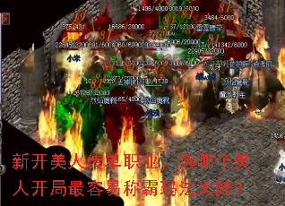 �¿����˴���ְҵ��ѡ�ĸ����˿��������׳ư��귨��½��
