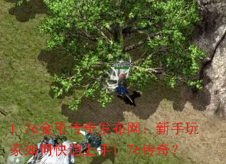 1.76��Ҵ��淢���������������ο�������1.76���棿