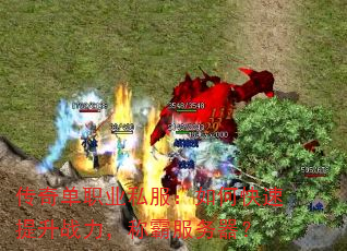 ���浥ְҵ˽������ο�������ս�����ưԷ�������