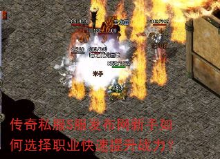 ����˽��S���������������ѡ��ְҵ��������ս����