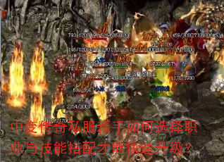 �б䴫��˽���������ѡ��ְҵ�뼼�ܴ�����ܿ���������