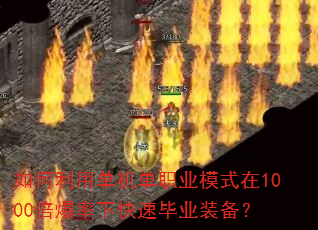 ������õ�����ְҵģʽ��1000�������¿��ٱ�ҵװ����