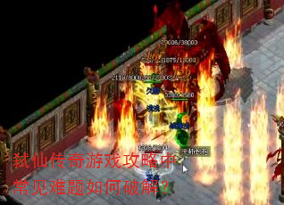 ߱�ɴ�����Ϸ�����г�����������ƽ⣿