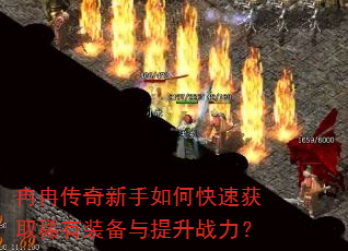 ȽȽ����������ο��ٻ�ȡϡ��װ��������ս����