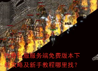����˽���������Ѱ汾���ع��Լ����ֽ̳������ң�