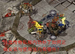 ��Ѫ����˽���ڹ����������ȷ��װ��ʹ�ü�������Щ��