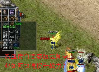 ��Ѫ�����̬�淨ʦְҵ��ο�������ս����