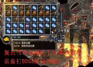 ���Ŵ���˽��������ο���ˢװ����BOSS�ռ����ԣ�