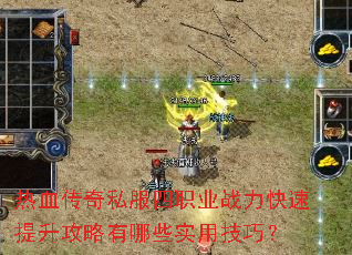 ��Ѫ����˽����ְҵս������������������Щʵ�ü��ɣ�