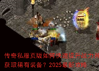 ����˽��ҳ����ο�������ս������ȡϡ��װ����2025���¹���