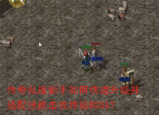 ����˽��������ο������������似�ܻ����ռ�BOSS��