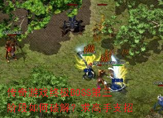 ������Ϸ�ռ�BOSS�����׶�����ƽ⣿�����֧��