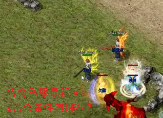 ����˽������boss��ɱ��������Щ��