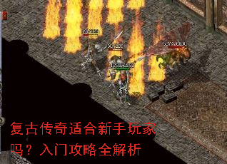 ���Ŵ����ʺ�������������Ź���ȫ����