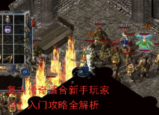 ���Ŵ����ʺ�������������Ź���ȫ����