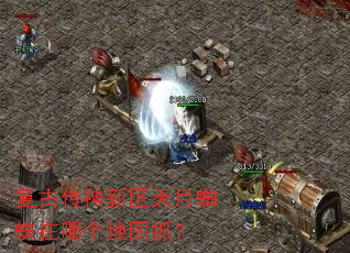 ���Ŵ�����������֩�����ĸ���ͼץ��