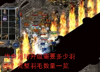 ������������Ҫ������ë��������ë����һ��