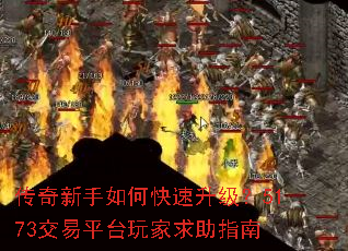 ����������ο���������5173����ƽ̨�������ָ��