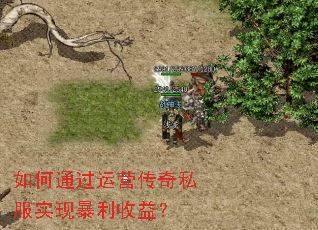 ���ͨ����Ӫ����˽��ʵ�ֱ������棿