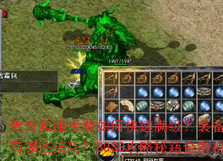 ����˽��������ο���������װ����������Щ���ɣ�BOSS�����ؼ�ȫ����