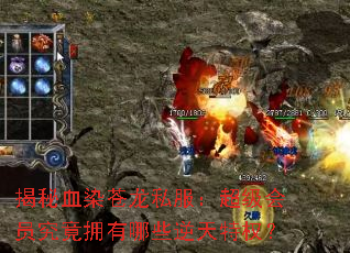 ����ѪȾ����˽����������Ա����ӵ����Щ������Ȩ��