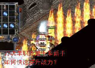 ���굥ְҵ��ʮ��������ο�������ս����