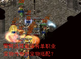 ���ѡ�����ʺϵ�ְҵ���ﴫ��ĳ�����䣿
