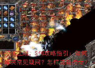 ����������SfG����ָ������ν���������ʣ������ɾʹ��棿