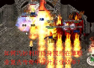 �����������������ָ�ڵ�ְҵ���Ŵ������������Ч�ʣ�