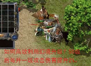 ��θ�Ч���ûþ�������50����ÿ��һ�������˺�����2%��