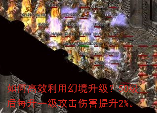 ��θ�Ч���ûþ�������50����ÿ��һ�������˺�����2%��