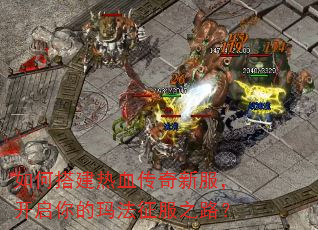 ��δ��Ѫ�����·�����������귨����֮·��