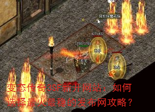 ��̬����3SF�¿���վ�����ѡ��������ȵķ��������ԣ�