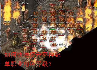 ��ο�����������͵�ְҵ��ɫ�ȼ���