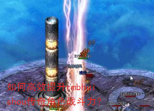��θ�Ч����rmbhuishou�����ɫս������