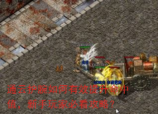 通云护腕如何有效提升命中值,新手玩家必看攻略? 通云护腕如何有效提升命中值,新手玩家必看攻略?