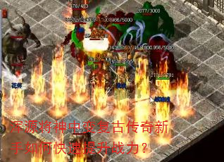 ��Դ�����б临�Ŵ���������ο�������ս����