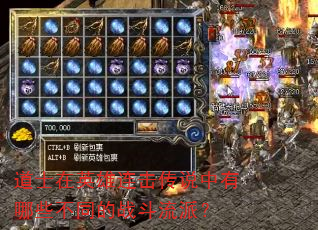 道士在英雄连击传说中有哪些不同的战斗流派? 道士在英雄连击传说中有哪些不同的战斗流派?