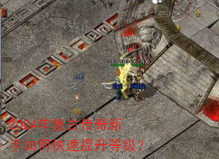 2024�긴�Ŵ���������ο��������ȼ���