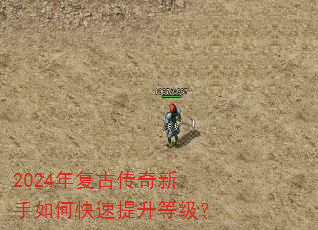 2024�긴�Ŵ���������ο��������ȼ���