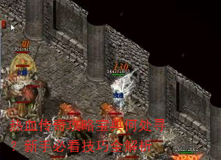 ��Ѫ���湥�Ա���δ�Ѱ�����ֱؿ�����ȫ����