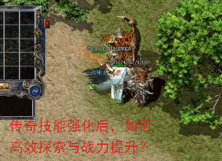 ���漼��ǿ������θ�Ч̽����ս��������
