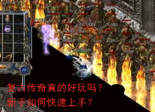 ���Ŵ�����ĺ�����������ο������֣�