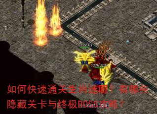 ��ο���ͨ����Ф���ȣ�����Щ���عؿ����ռ�BOSS���ԣ�
