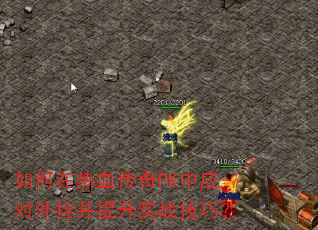 �������Ѫ����PK��Ӧ����Ҳ�����ʵս���ɣ�